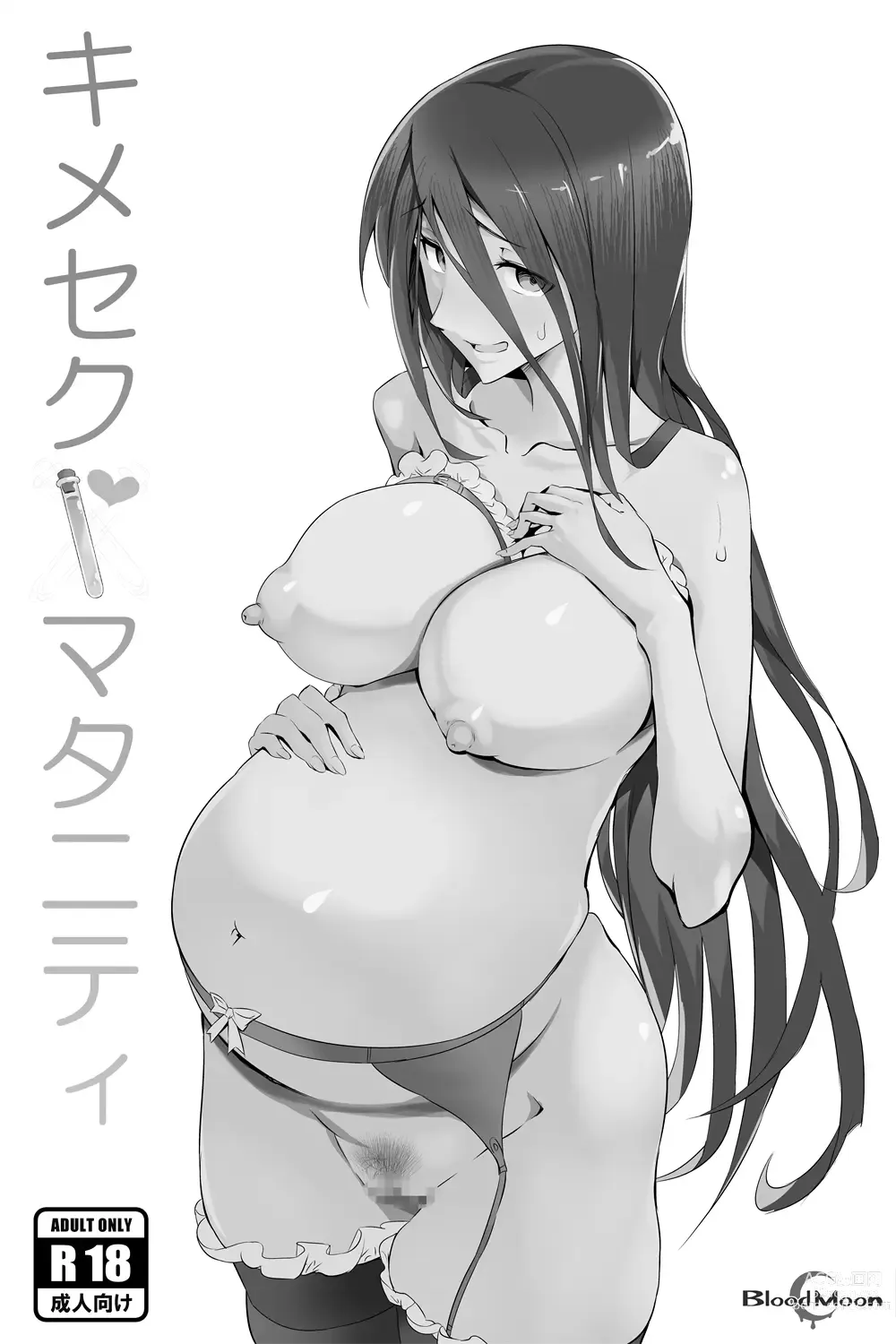 Page 2 of doujinshi Kimeseku Maternity