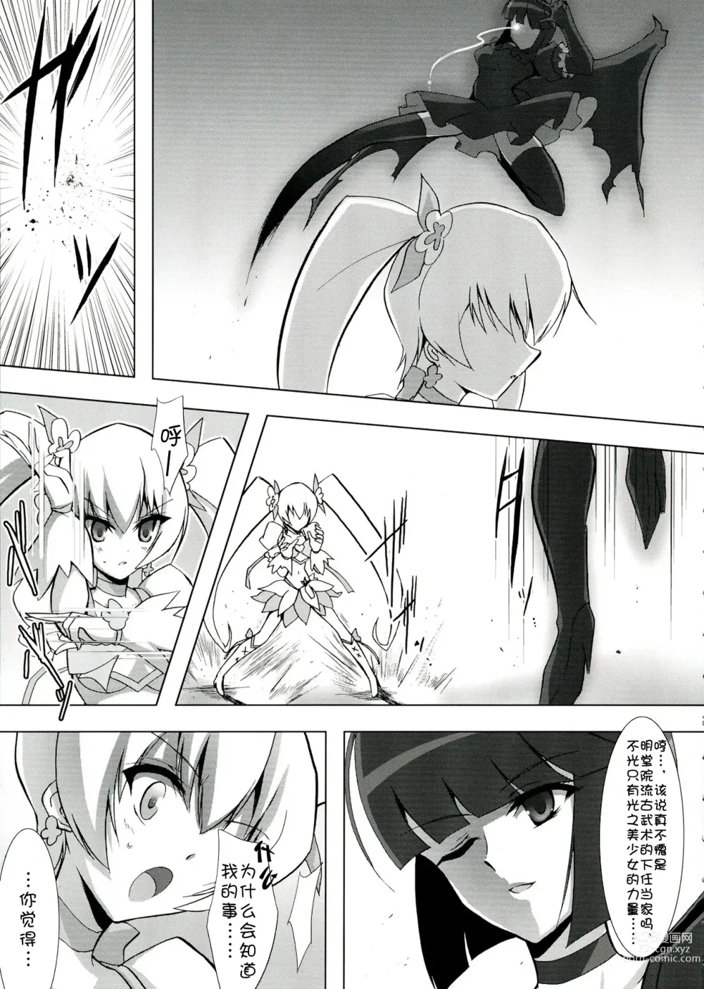 Page 9 of doujinshi SILHOUETTE HEART 心的剪影 (HeartCatch Precure!)【Chinese】【个人汉化】