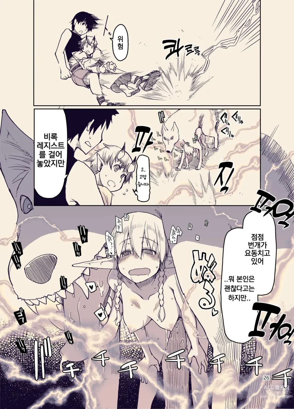 Page 27 of doujinshi 호색한 엘프의 이종간일기 9