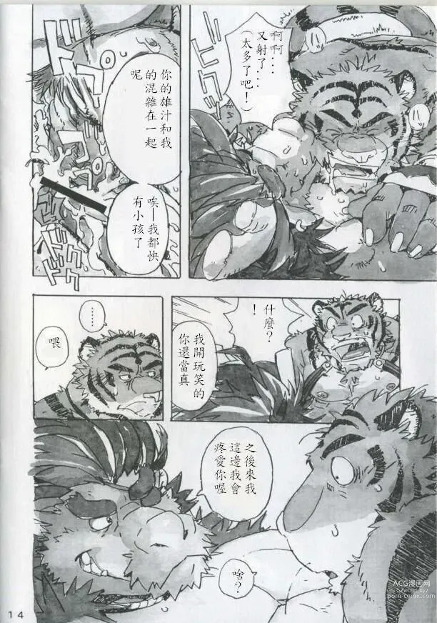 Page 15 of doujinshi Choujuu Gasshin Build Tiger 4