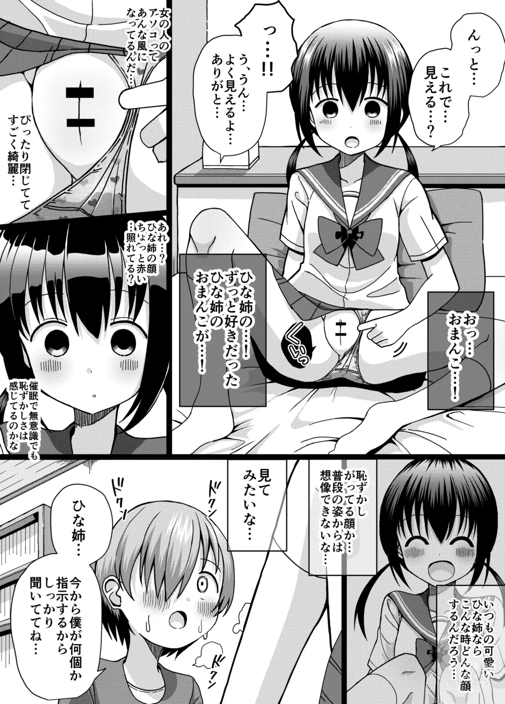 Page 14 of doujinshi Hina Nee-chan wa Boku no Mono ~Hoka no Otoko ni wa Yarasenai~