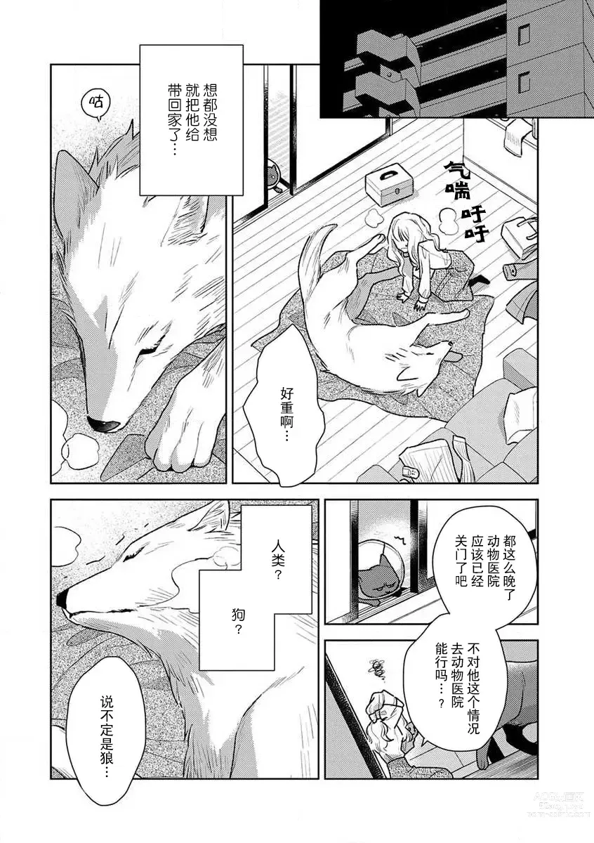 Page 19 of manga 狼大人的异族婚姻谭–被找上门来的老公宠上天 1-2