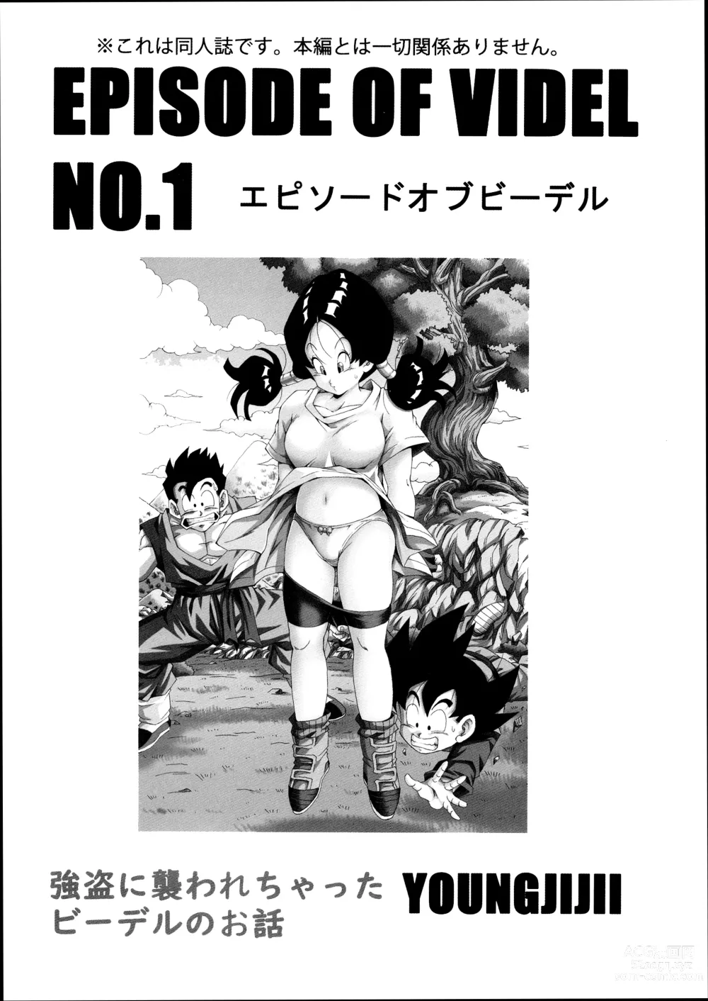 Page 3 of doujinshi EPISODE OF VIDEL NO.1