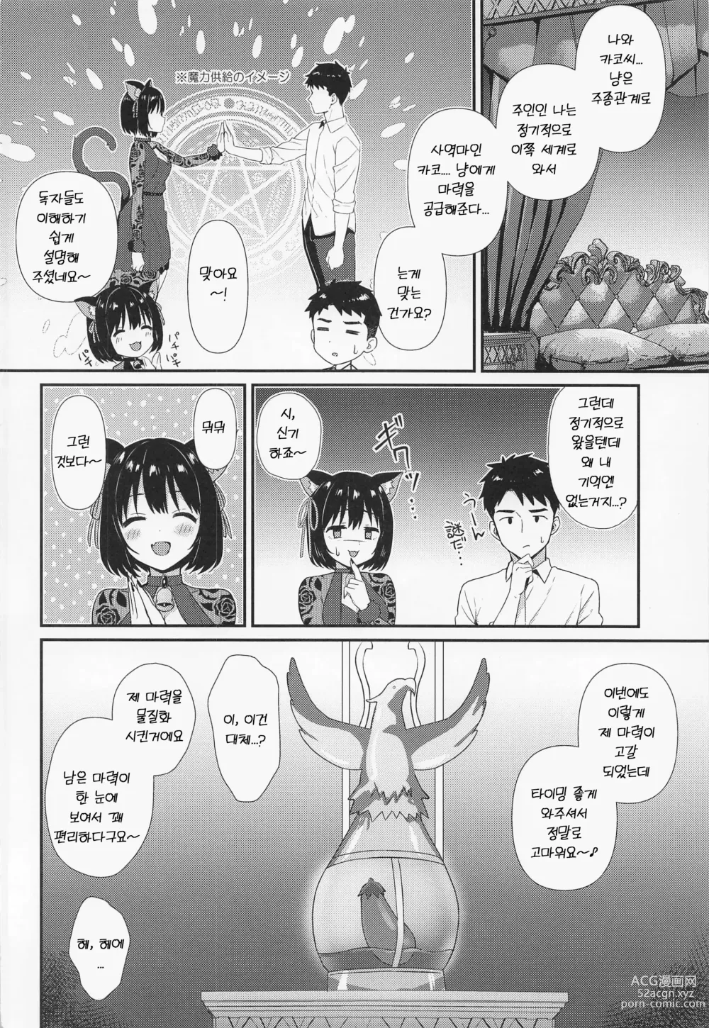 Page 3 of doujinshi 눈을 떴더니 사역마 카코냥의 주인이 되어있던 건