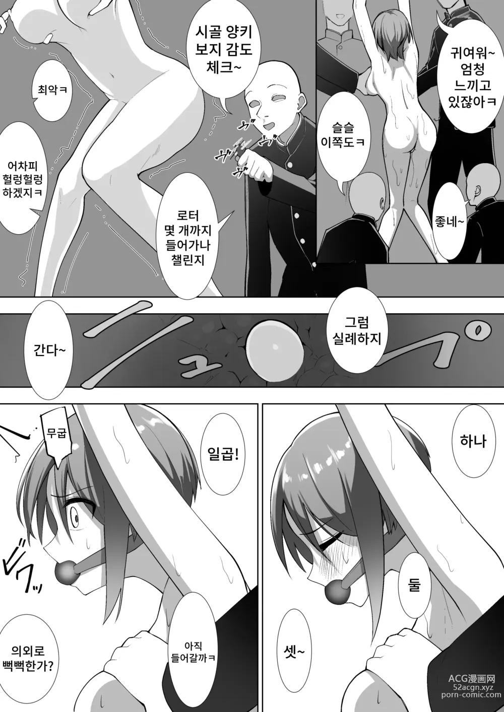 Page 16 of doujinshi 리리카의 실험