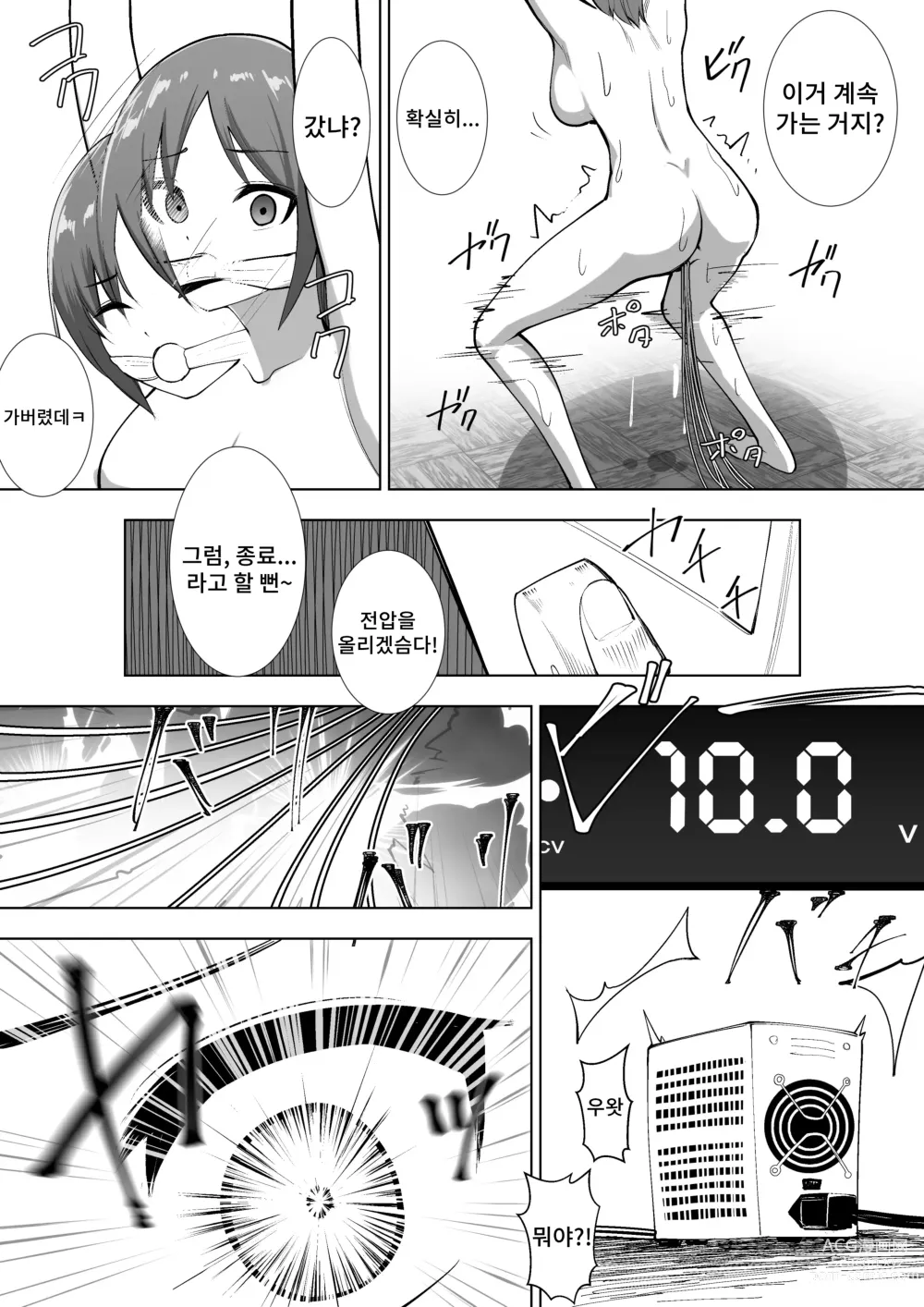 Page 19 of doujinshi 리리카의 실험