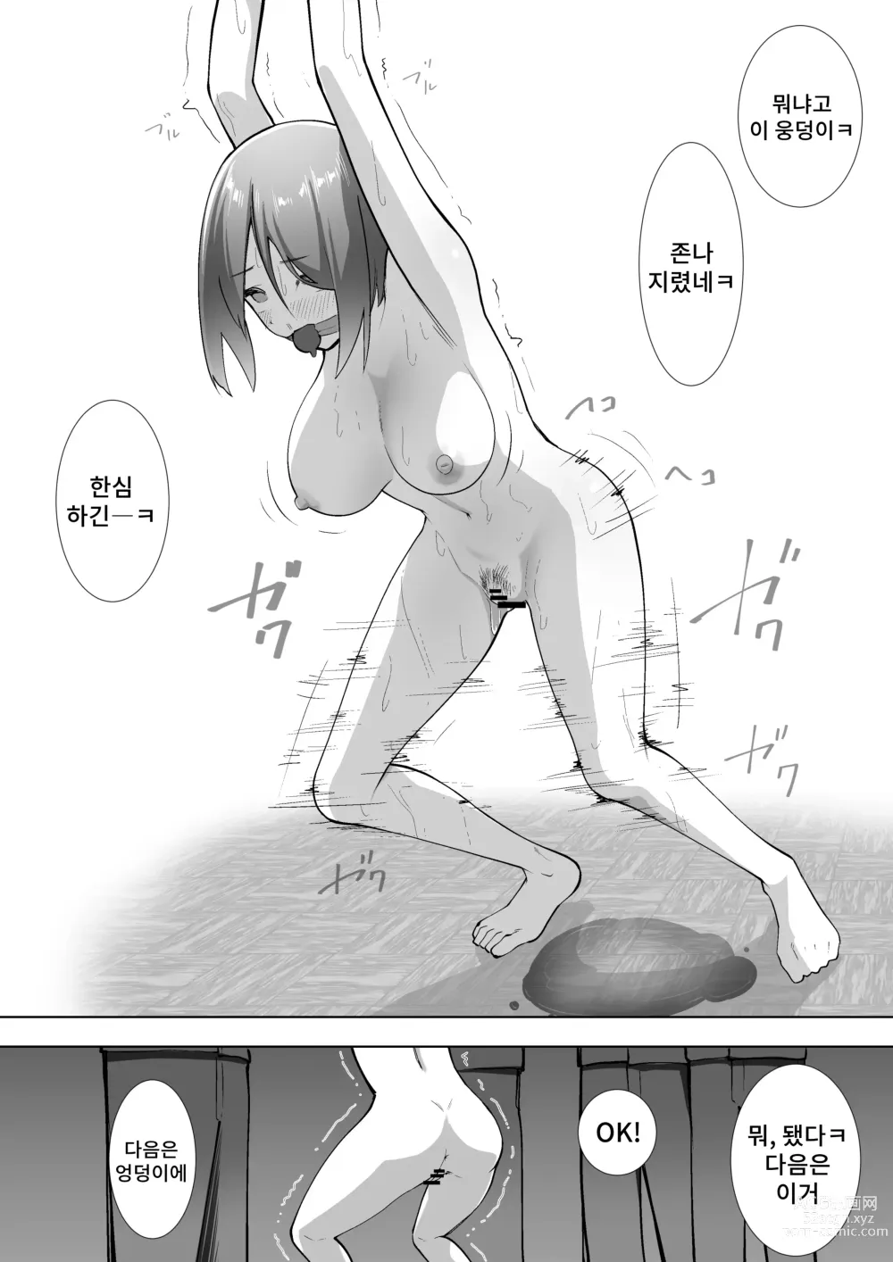 Page 21 of doujinshi 리리카의 실험