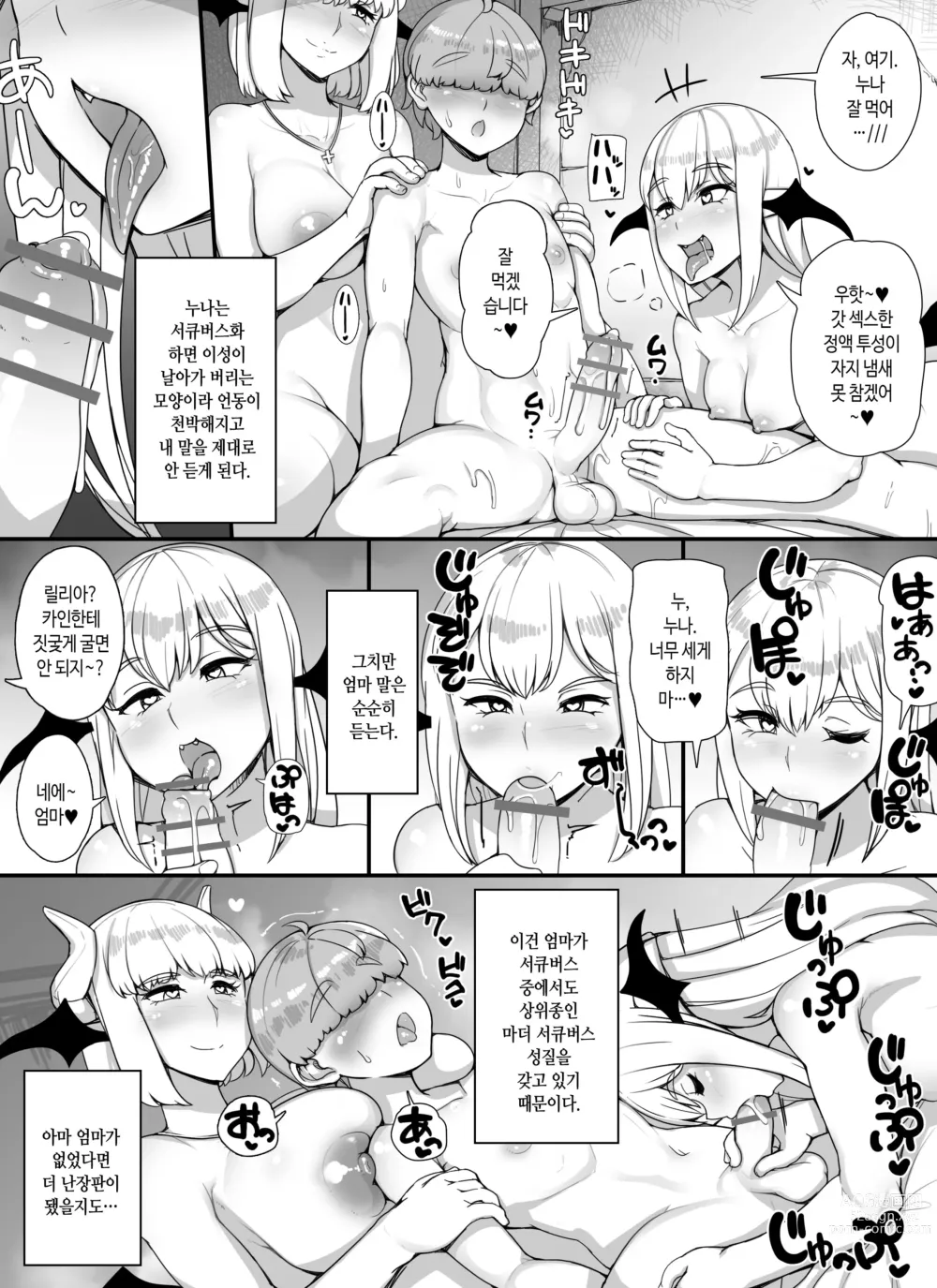 Page 15 of doujinshi 엄마누나이모가 서큐버스인 쇼타 용사 하렘 파티