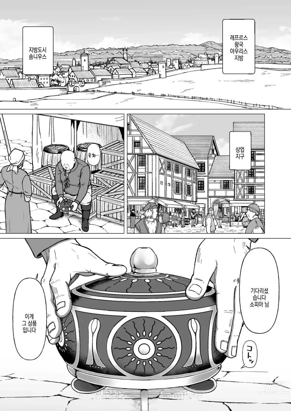 Page 4 of doujinshi 행상인 디루크와 마법의 향로