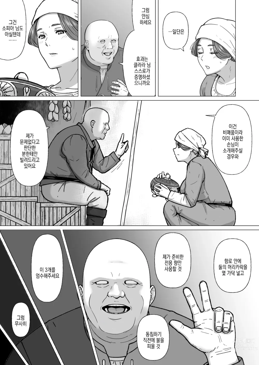 Page 6 of doujinshi 행상인 디루크와 마법의 향로