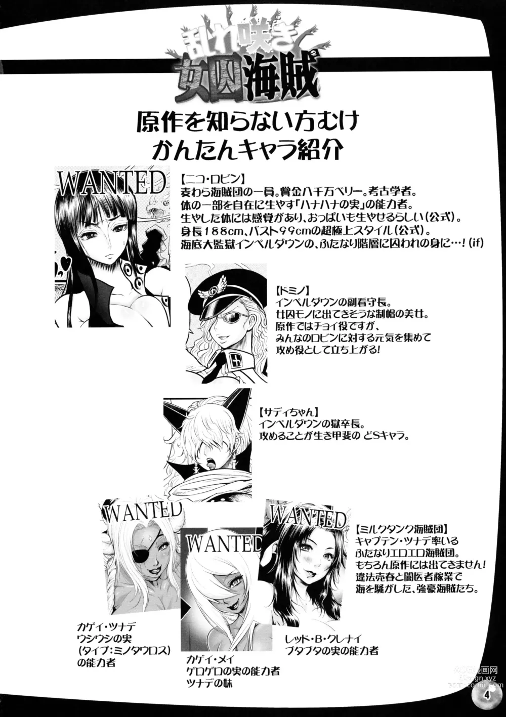 Page 3 of doujinshi La Pirata Futanari