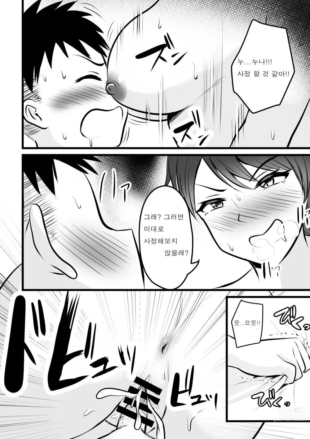 Page 22 of doujinshi Boyish no Ane ni Renshuudai to Shite Shiborareta