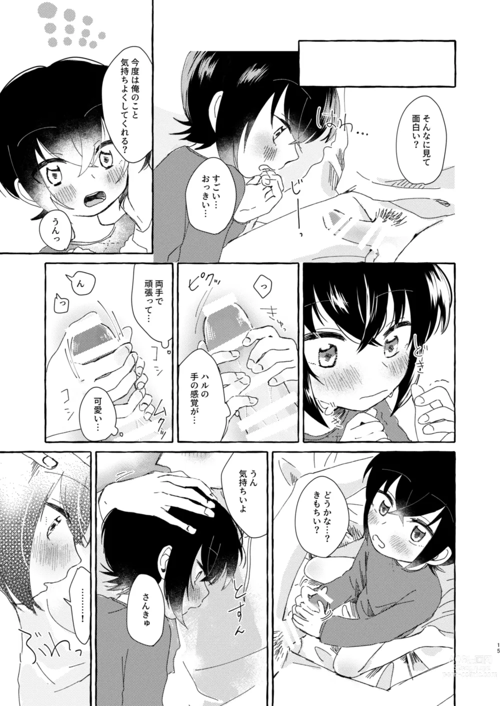 Page 14 of doujinshi Nii ni Oshiete Hoshii Koto