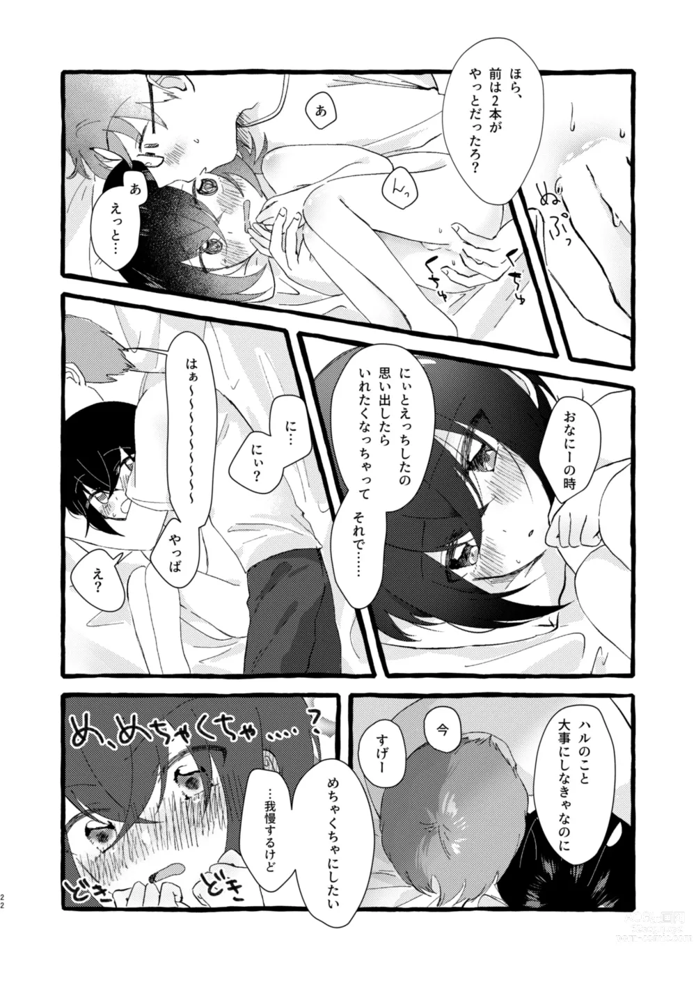 Page 21 of doujinshi Ichiban ni Naritakute