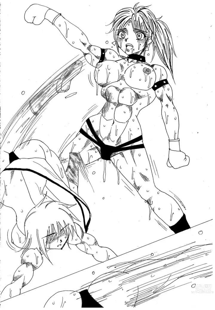 Page 249 of doujinshi Chousen-sha Kettei-sen Lamy VS Serafina