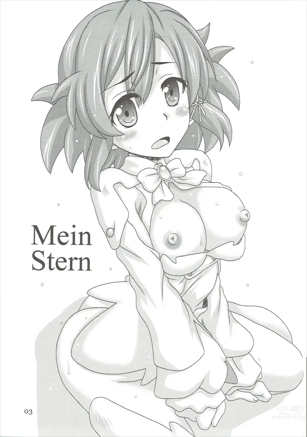 Page 2 of doujinshi Mein Stern