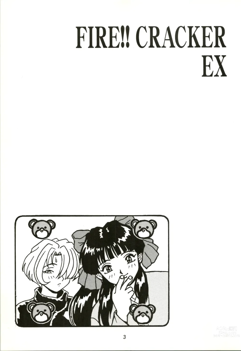 Page 3 of doujinshi FIRE!! CRACKER EX