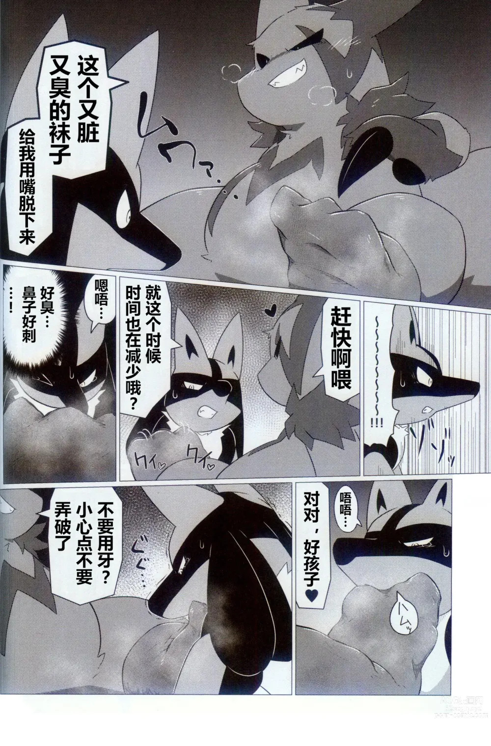 Page 10 of doujinshi 我家的玩具2