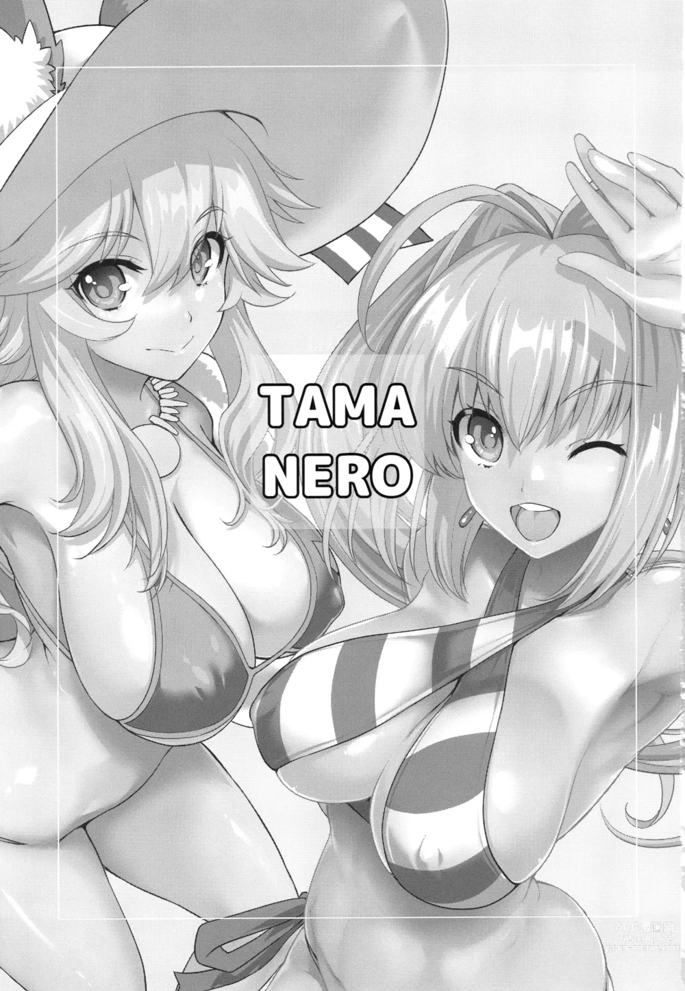 Page 2 of doujinshi TAMANERO