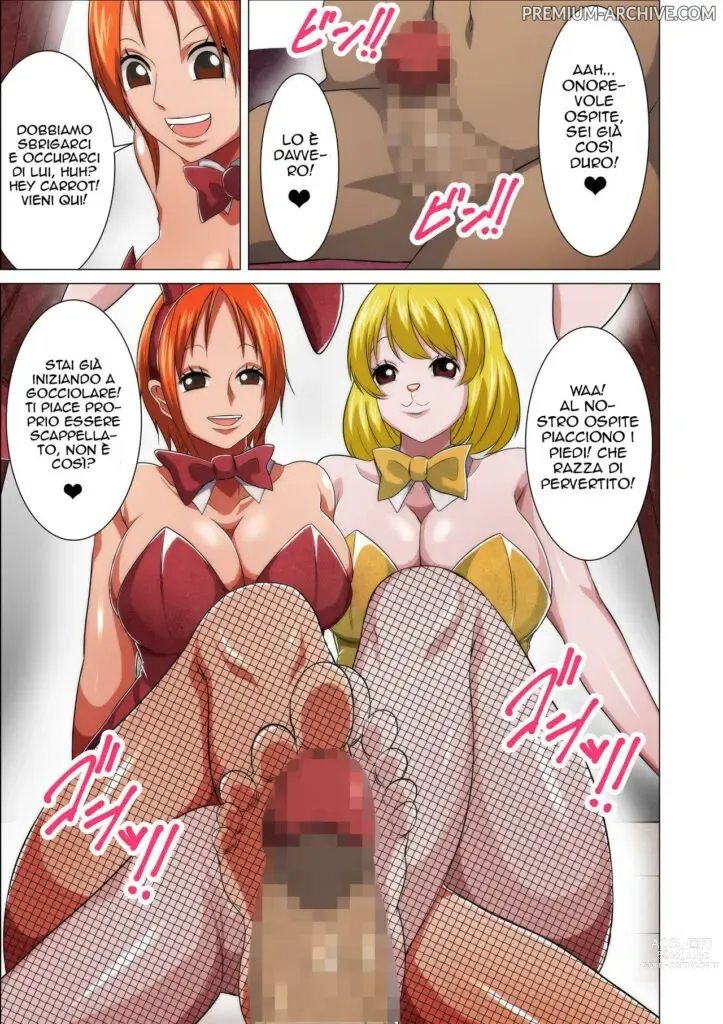 Page 5 of doujinshi Servizio Conigliette