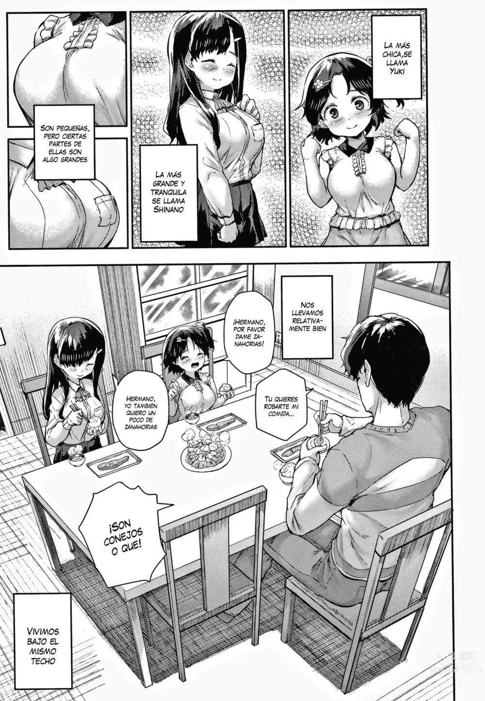 Page 3 of manga Minimum Gigantic Breasts Little Sisters (decensored)