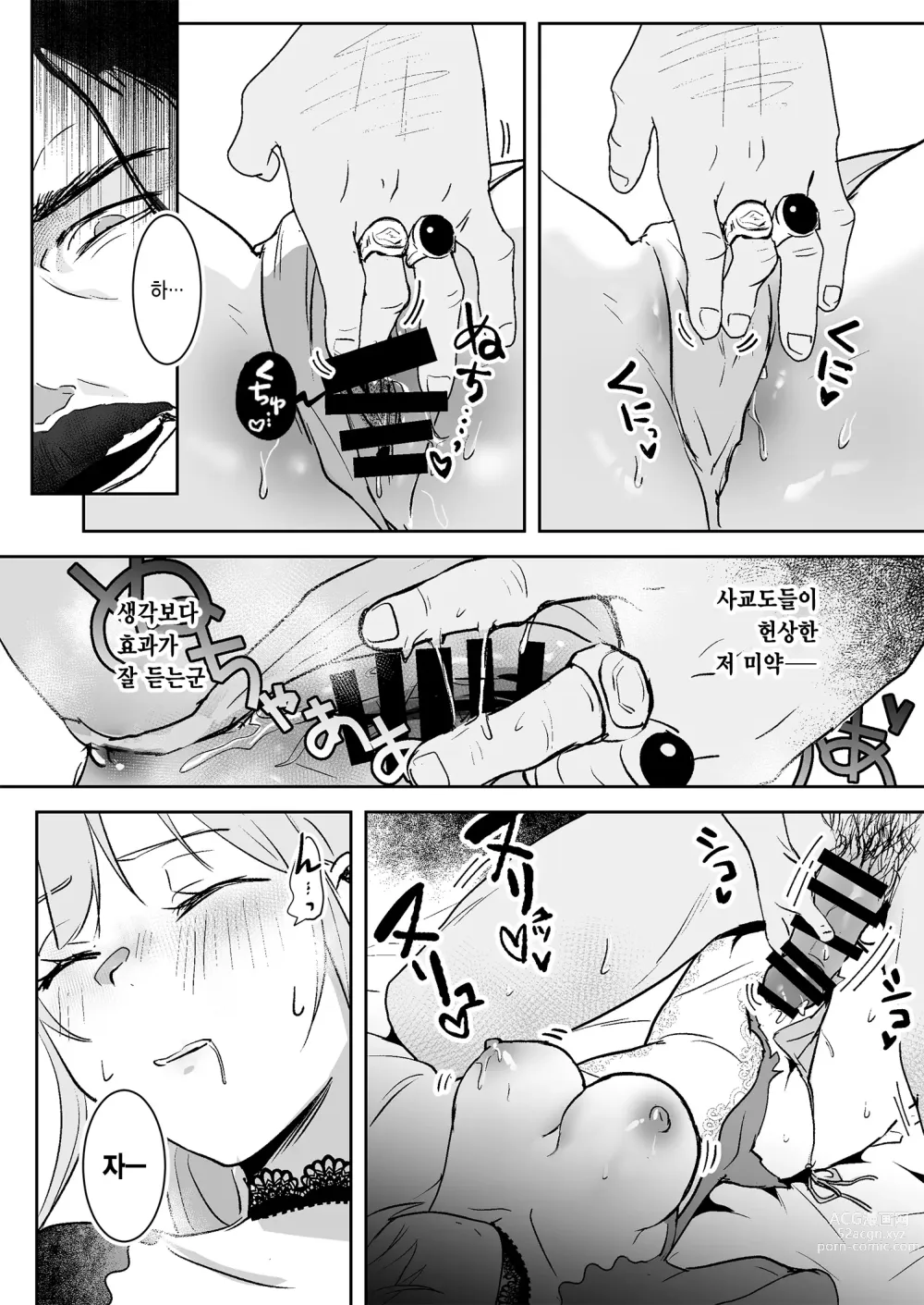 Page 17 of doujinshi 왕녀 함락