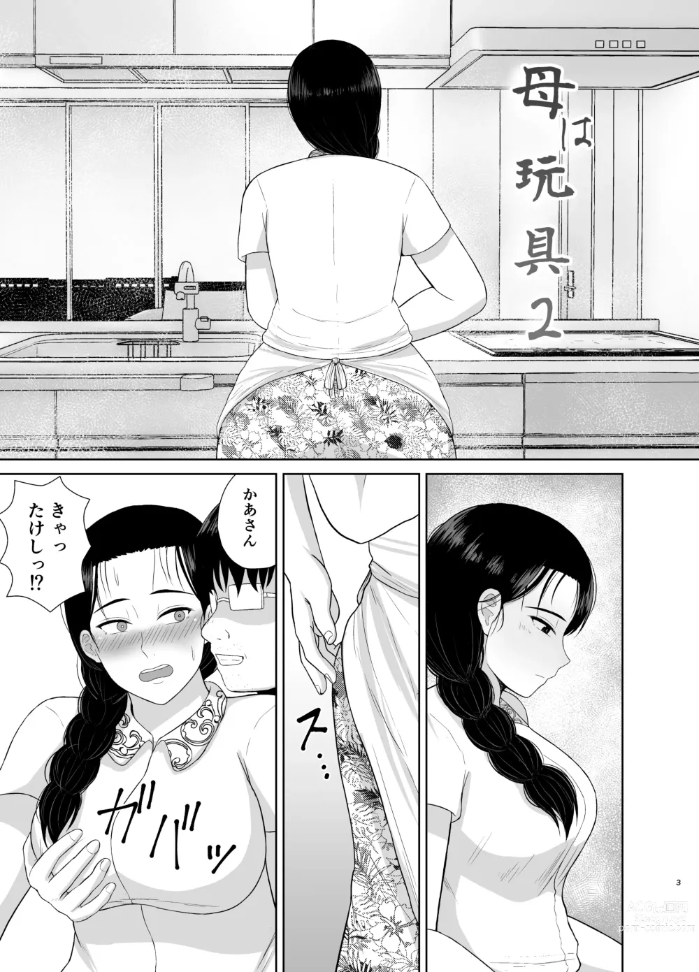 Page 3 of doujinshi Haha wa Omocha 2