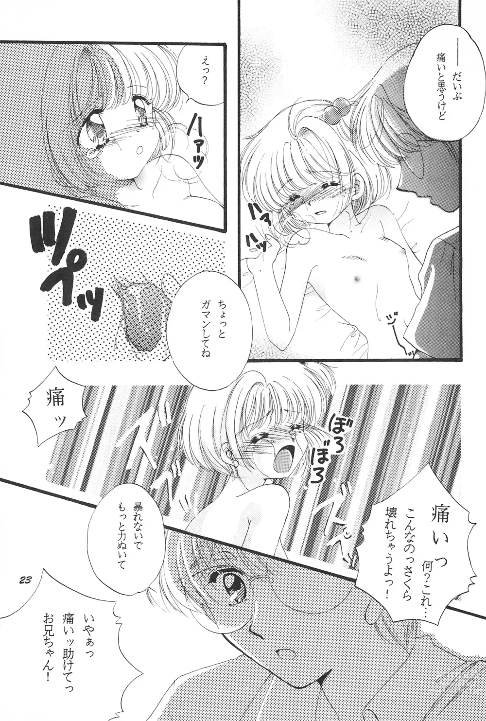 Page 25 of doujinshi LOVELY CHERRY