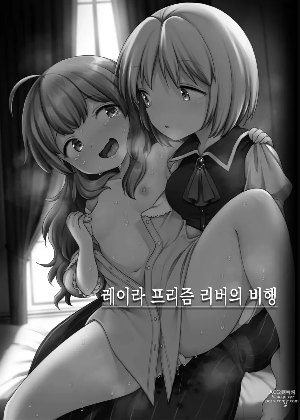 Page 4 of doujinshi 레이라 프리즘리버의 비행