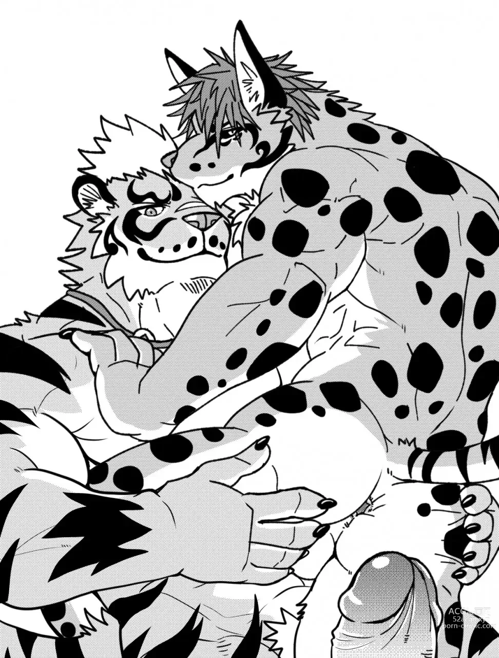 Page 36 of imageset nekojishi