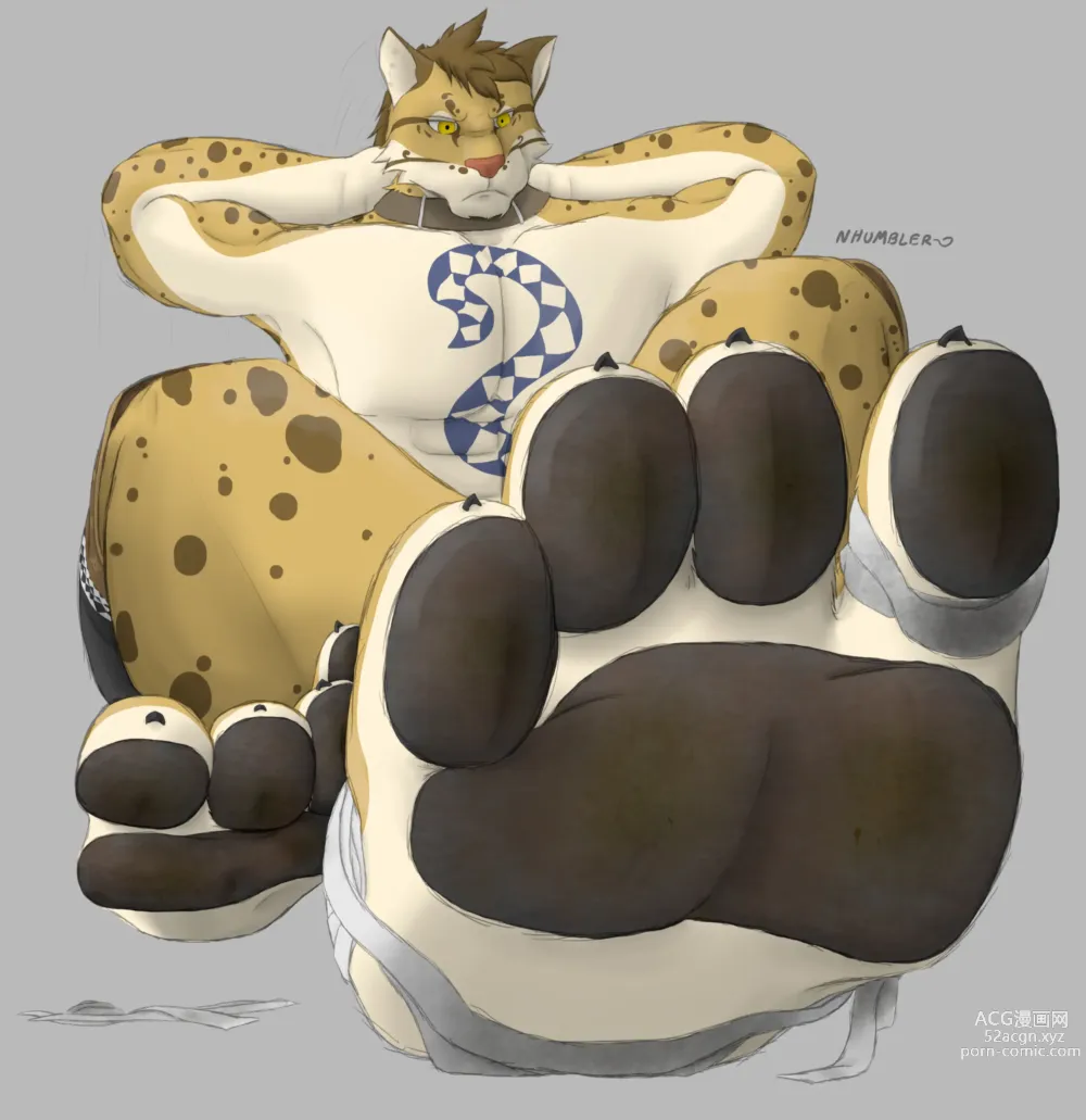 Page 5 of imageset nekojishi