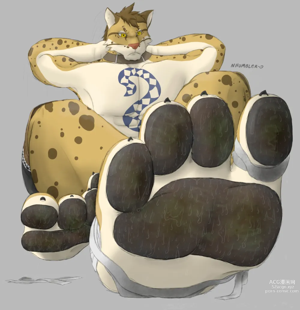 Page 6 of imageset nekojishi