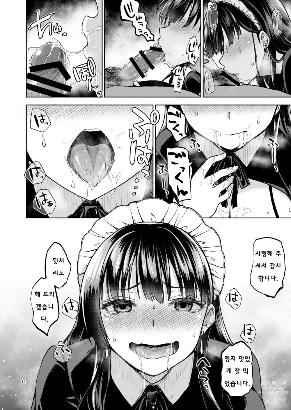 Page 13 of doujinshi Omoide wa Yogosareru 2 ~Kokoro made Somerarete~