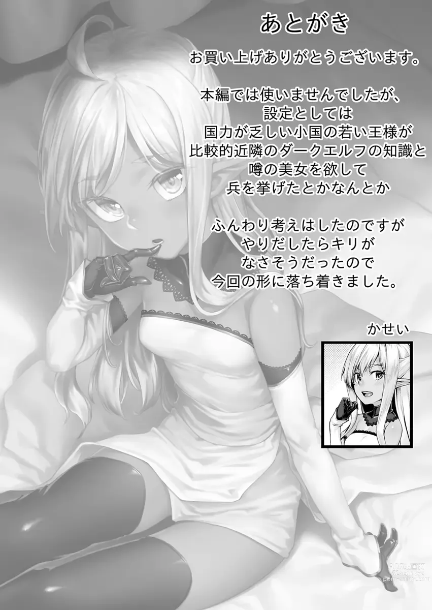 Page 32 of doujinshi Ecchi na Elf to no Kurashikata Vol. 7 ~Dark Elf no Himegimi to Ichakorakkusu~