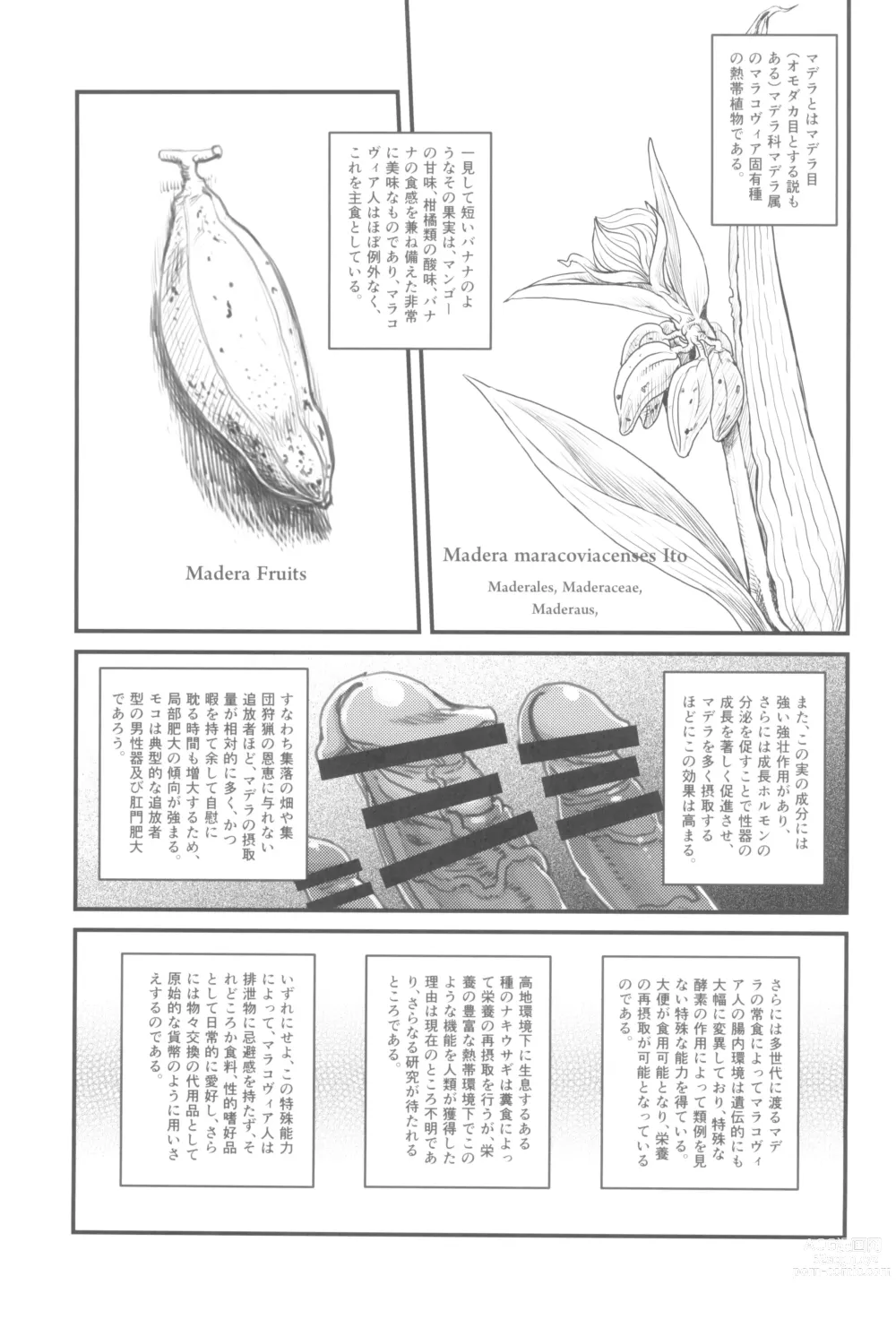 Page 11 of doujinshi Dankon no Ethnography -Malakovia no Sei to Haisetsu-