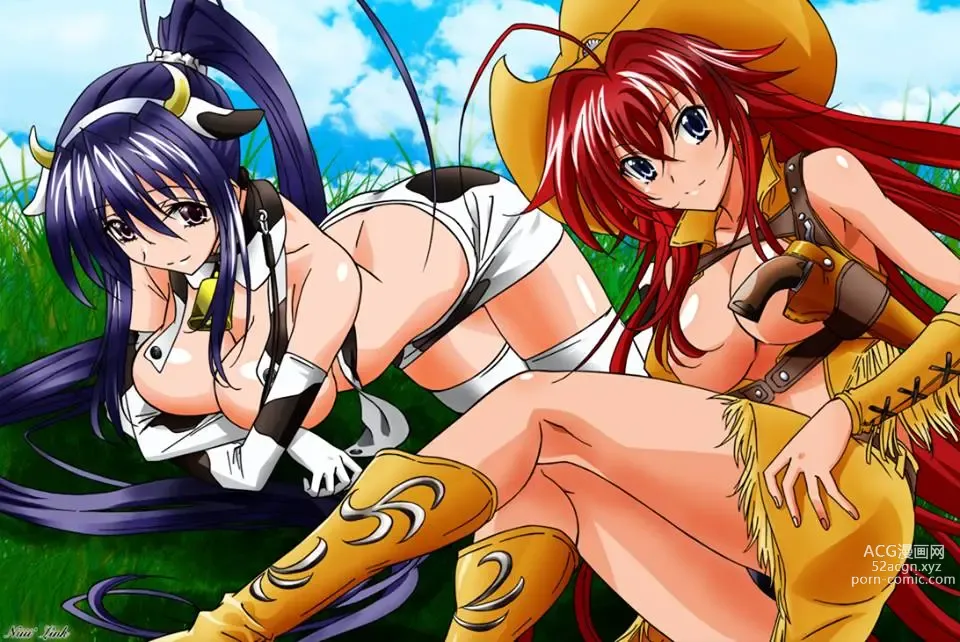 Page 218 of imageset High School DxD Collection