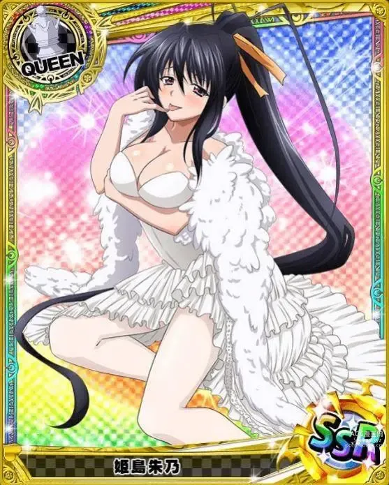 Page 221 of imageset High School DxD Collection