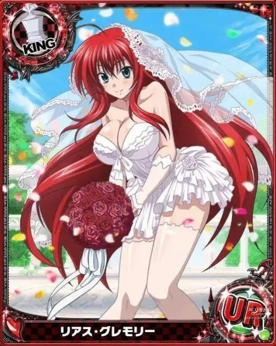 Page 222 of imageset High School DxD Collection