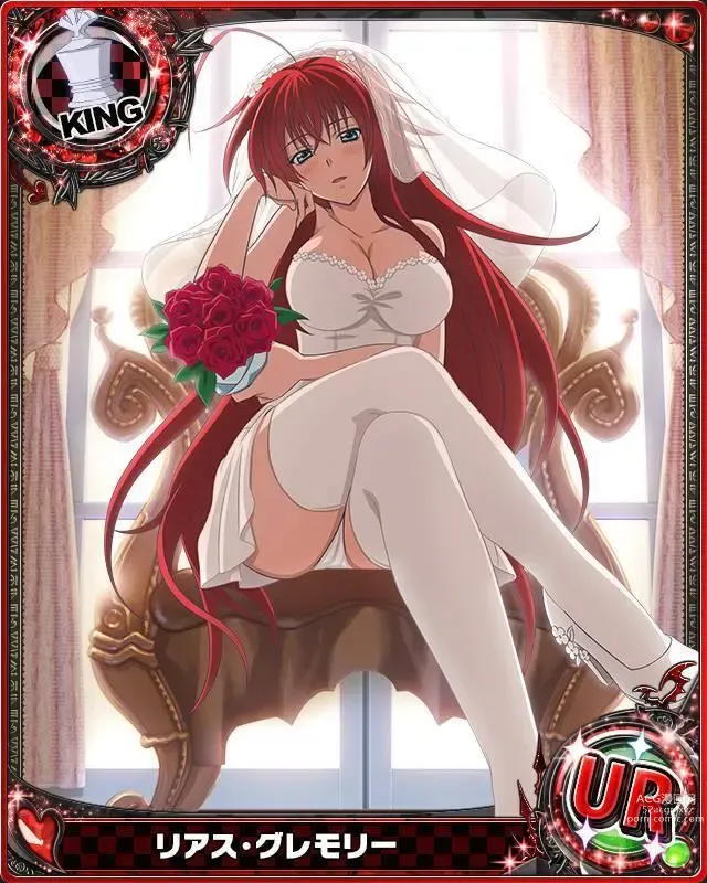 Page 223 of imageset High School DxD Collection