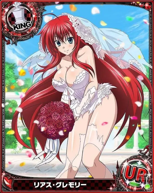 Page 225 of imageset High School DxD Collection