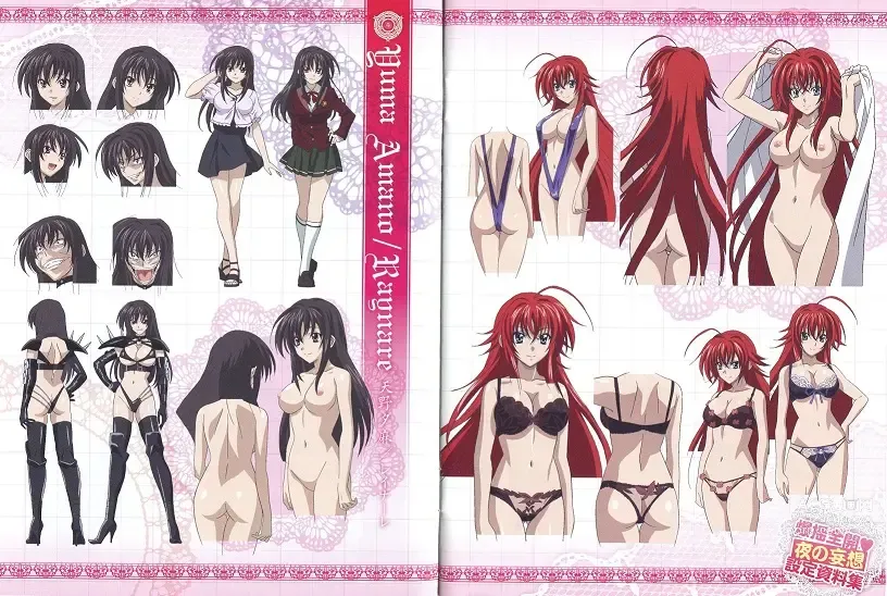 Page 48 of imageset High School DxD Collection