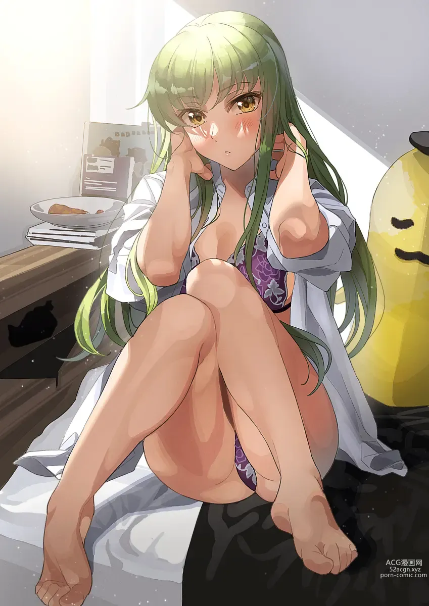 Page 151 of imageset Code Geass Collection