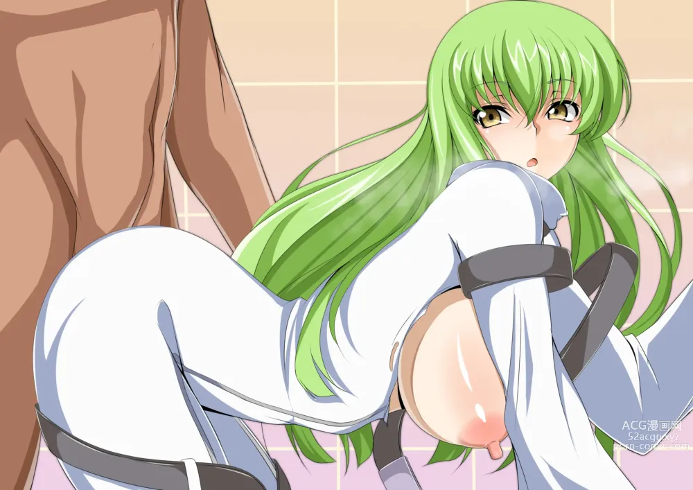 Page 213 of imageset Code Geass Collection