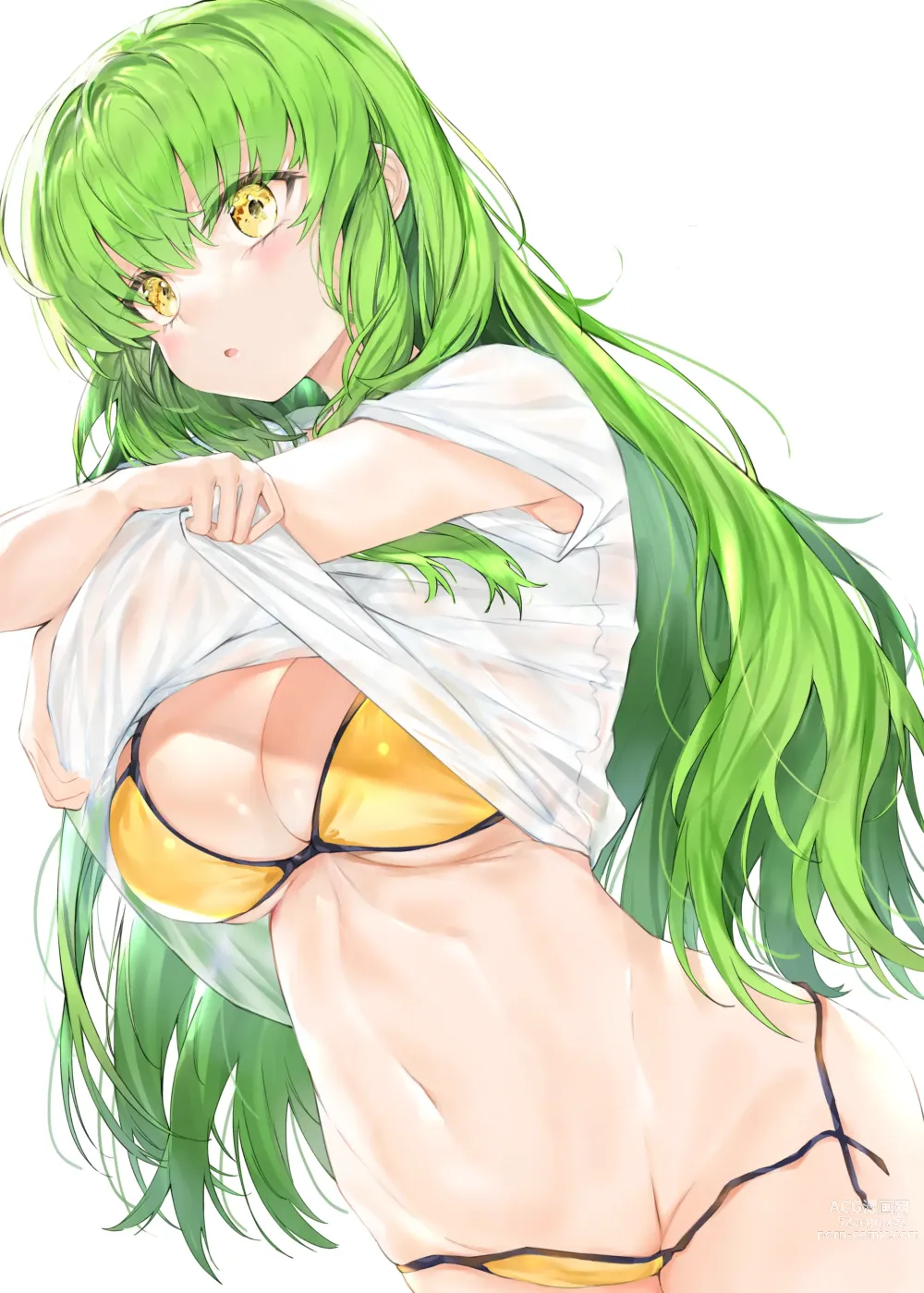 Page 606 of imageset Code Geass Collection