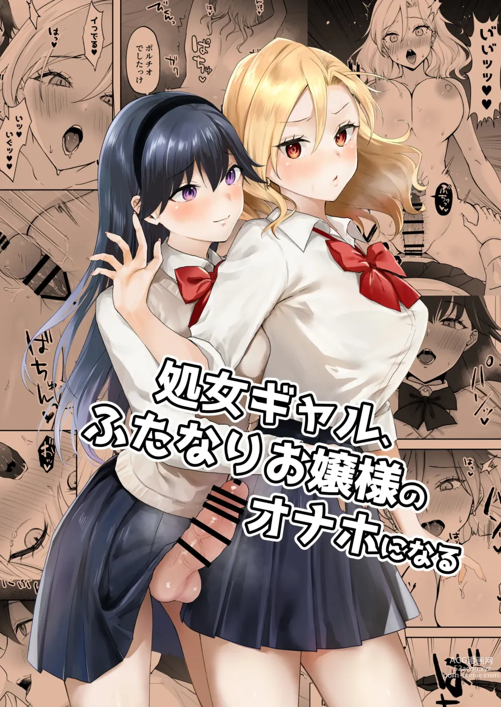 Page 1 of doujinshi 处女辣妹、成了扶她大小姐的飞机杯