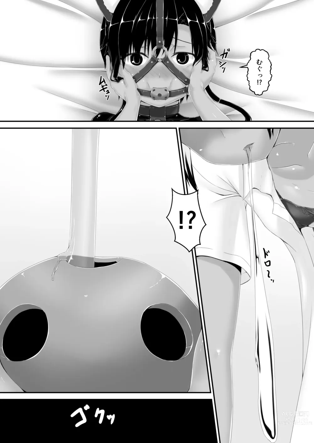 Page 17 of doujinshi Tora x Neko Choco Ice