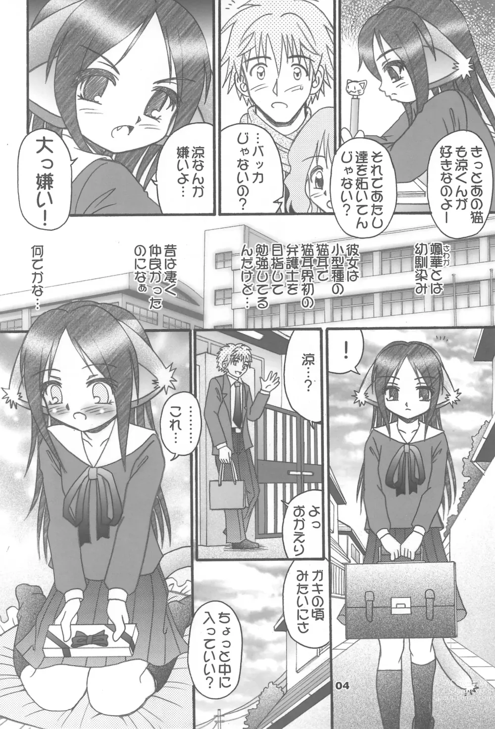 Page 4 of doujinshi Tsuyome Neko