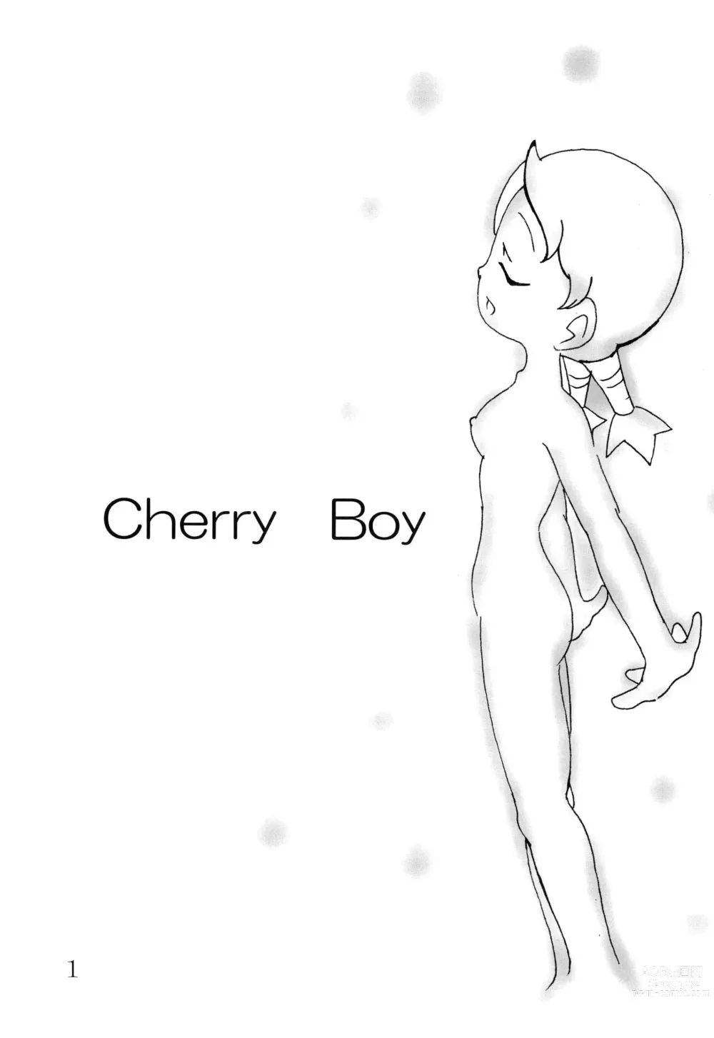 Page 3 of doujinshi Cherry Boy