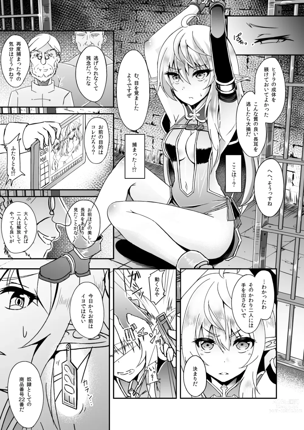 Page 17 of doujinshi Toubou ELF Soushuuhen