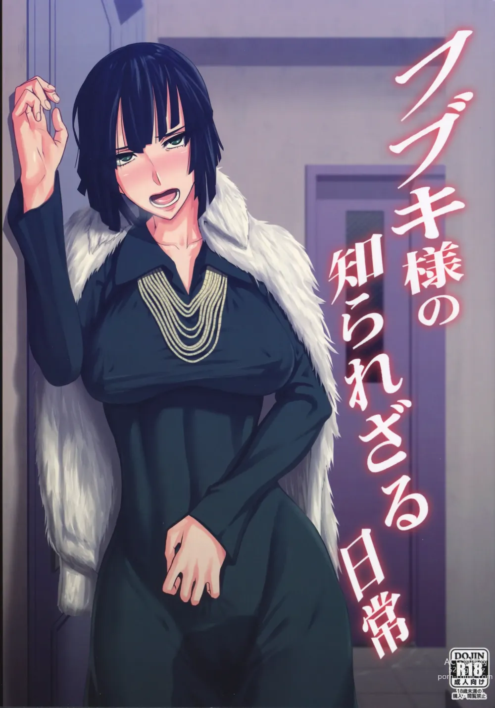 Page 1 of doujinshi Fubuki